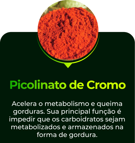 Cromo-11-1.png