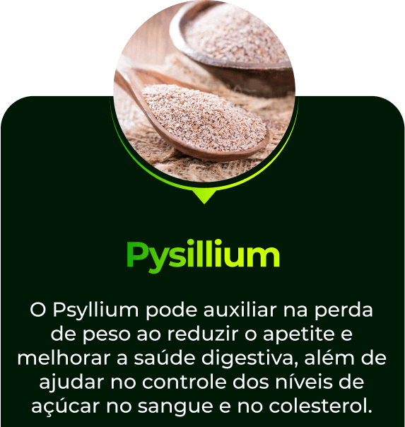 Pysillium-1.png